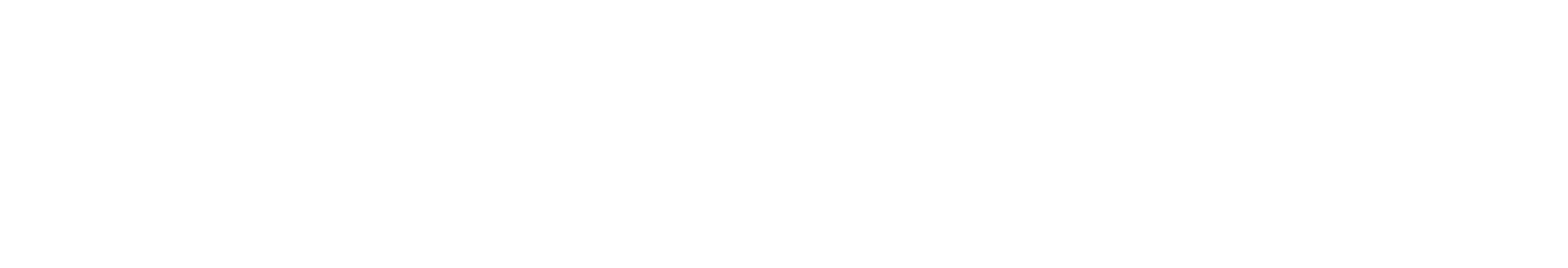 wetestyou-logo-white